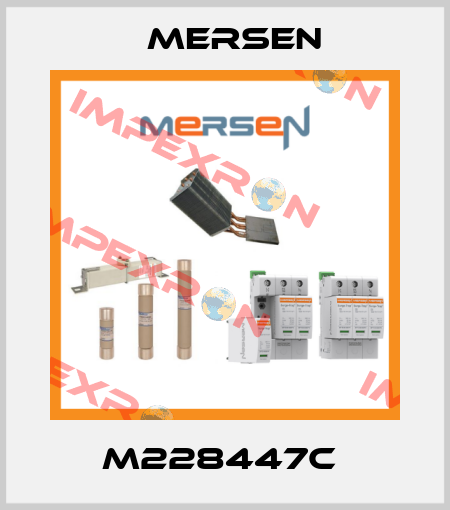 M228447C  Mersen