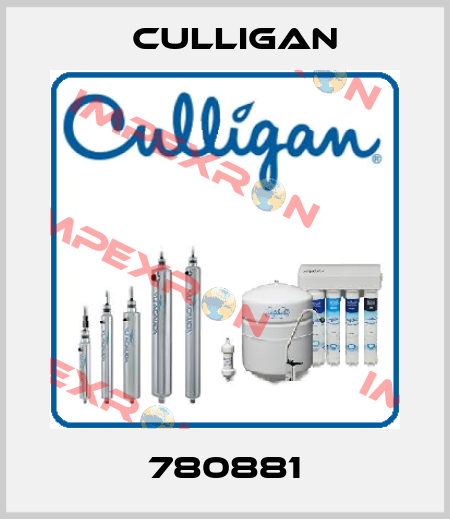 780881 Culligan