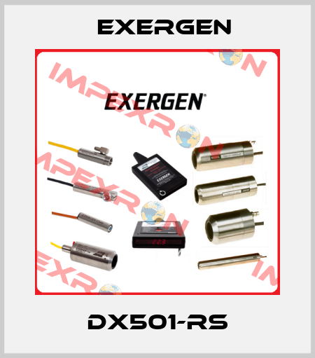 DX501-RS Exergen