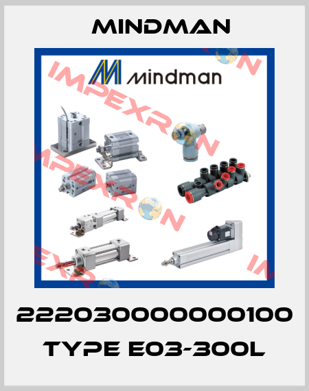 222030000000100 Type E03-300L Mindman