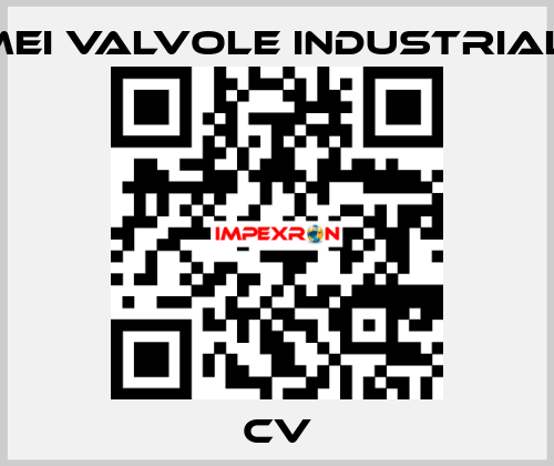 CV MEI VALVOLE INDUSTRIALI