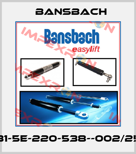 K2B1-5E-220-538--002/250N Bansbach