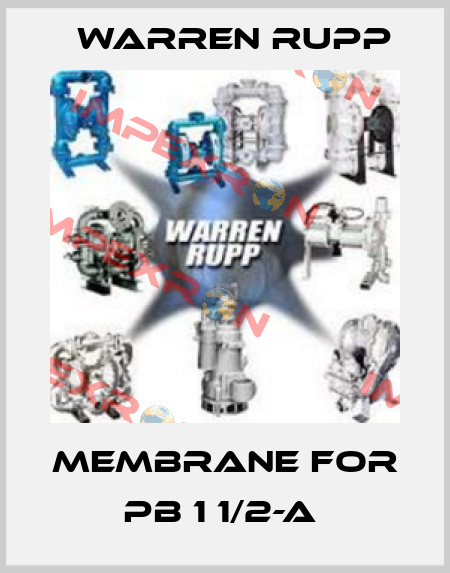 MEMBRANE FOR PB 1 1/2-A  Warren Rupp
