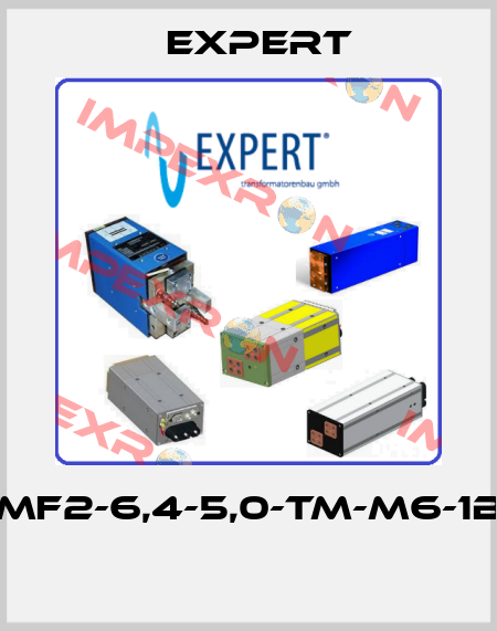MF2-6,4-5,0-TM-M6-1B  Expert