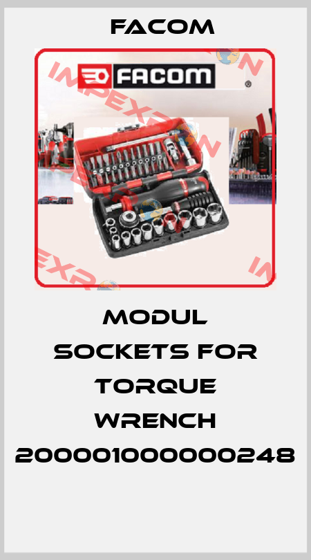 MODUL SOCKETS FOR TORQUE WRENCH 200001000000248  Facom