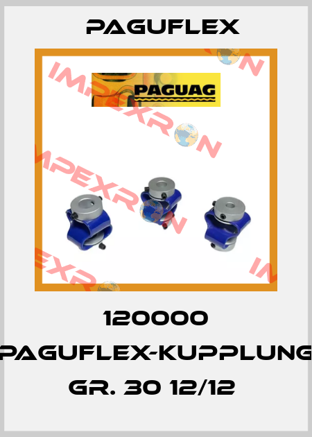 120000 PAGUFLEX-KUPPLUNG GR. 30 12/12  Paguflex