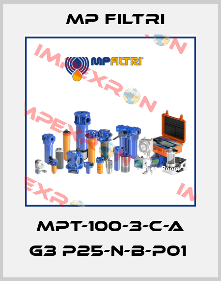 MPT-100-3-C-A G3 P25-N-B-P01  MP Filtri