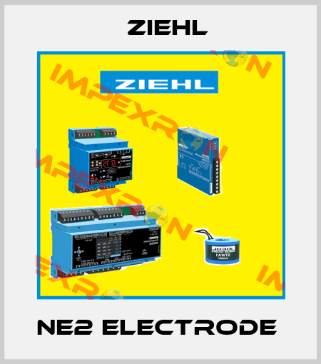 NE2 ELECTRODE  Ziehl