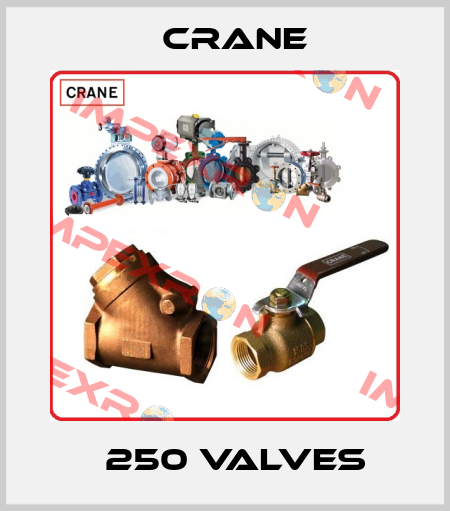 Ǿ 250 VALVES  Crane
