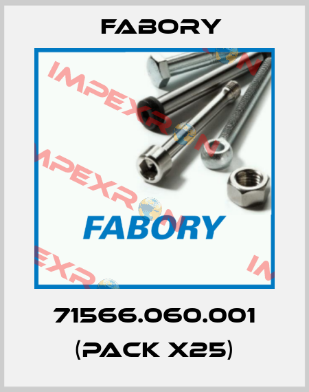 71566.060.001 (pack x25) Fabory