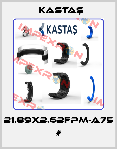 21.89X2.62FPM-A75 # Kastaş