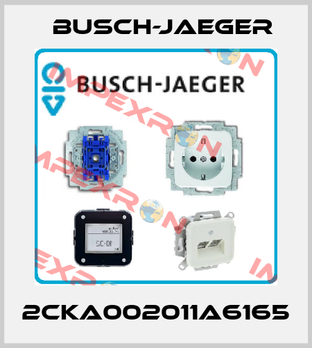 2CKA002011A6165 Busch-Jaeger