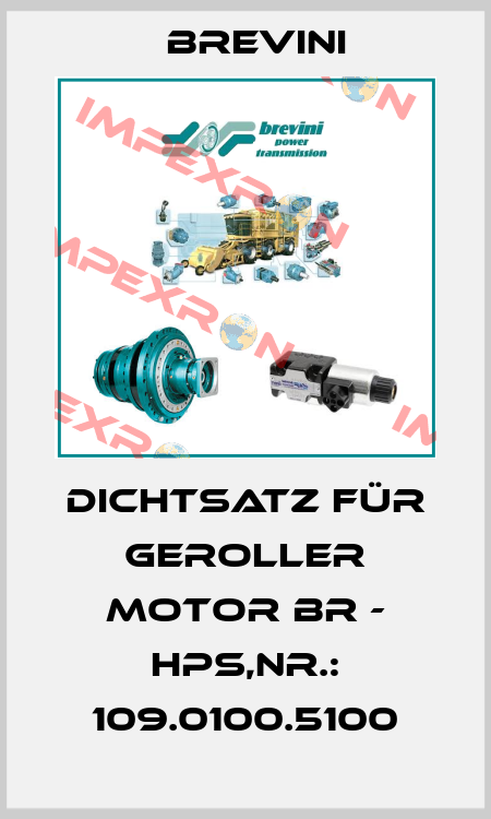 Dichtsatz für Geroller Motor BR - HPS,Nr.: 109.0100.5100 Brevini