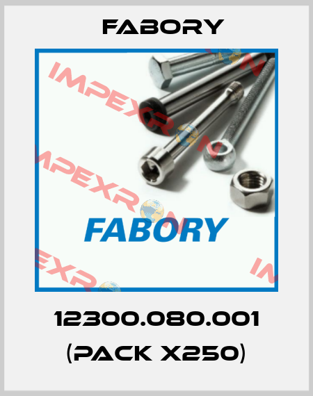 12300.080.001 (pack x250) Fabory