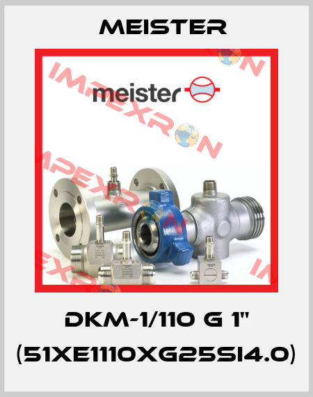 DKM-1/110 G 1" (51XE1110XG25SI4.0) Meister