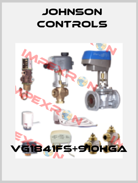 VG1841FS+910HGA Johnson Controls