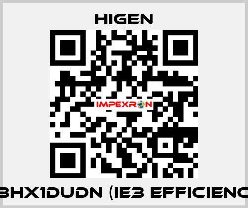 I08HX1DUDN (IE3 efficiency) Higen