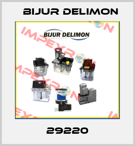 29220 Bijur Delimon