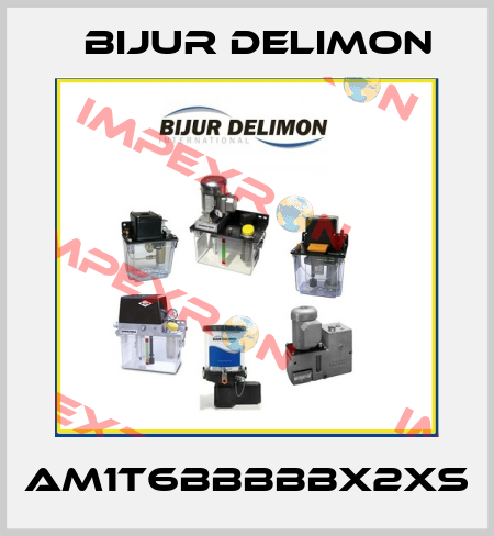 AM1T6BBBBBX2XS Bijur Delimon
