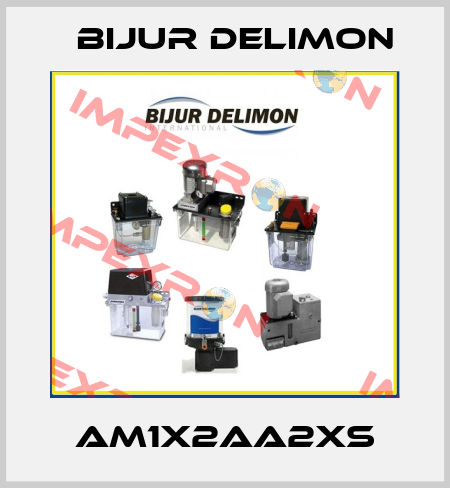 AM1X2AA2XS Bijur Delimon