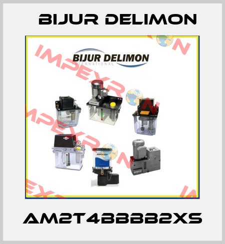 AM2T4BBBB2XS Bijur Delimon
