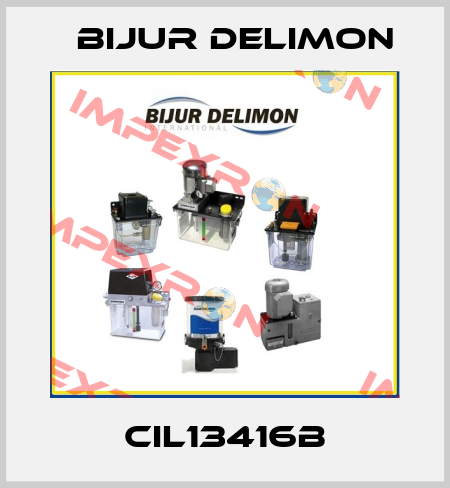 CIL13416B Bijur Delimon