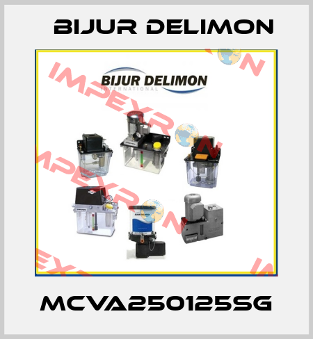 MCVA250125SG Bijur Delimon