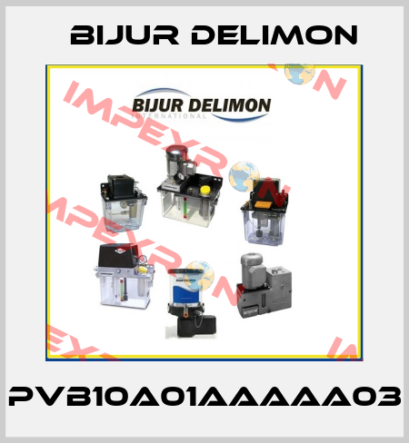 PVB10A01AAAAA03 Bijur Delimon