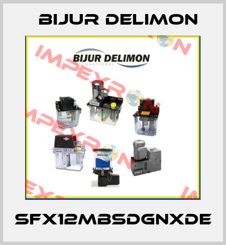 SFX12MBSDGNXDE Bijur Delimon