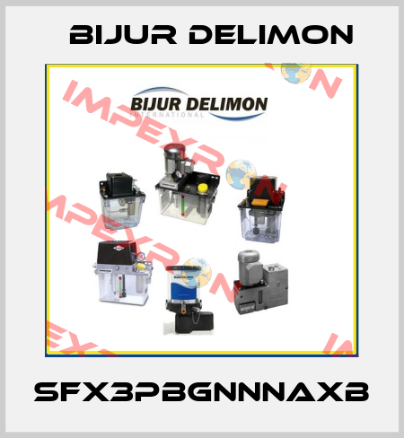 SFX3PBGNNNAXB Bijur Delimon