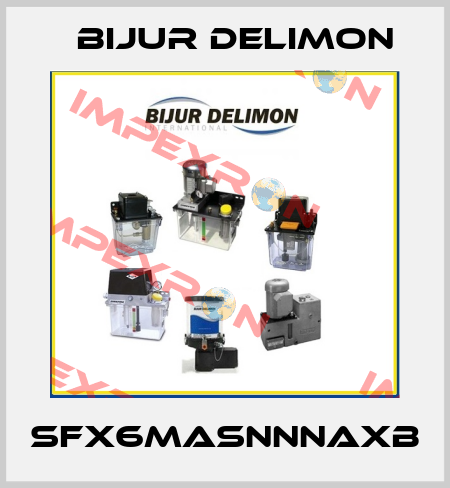 SFX6MASNNNAXB Bijur Delimon