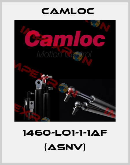 1460-LO1-1-1AF (ASNV) Camloc