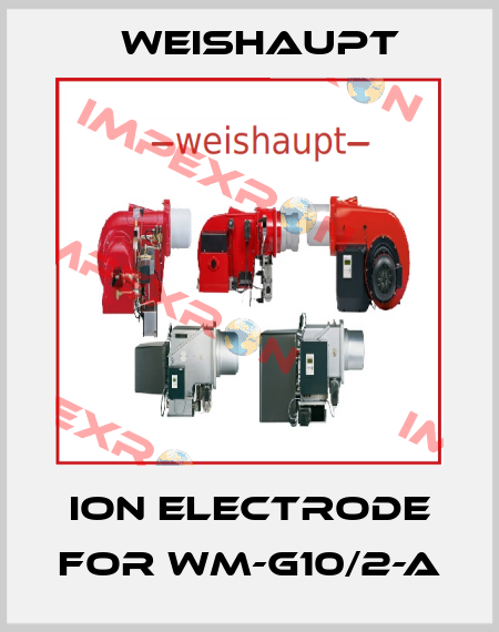 ion electrode for WM-G10/2-A Weishaupt