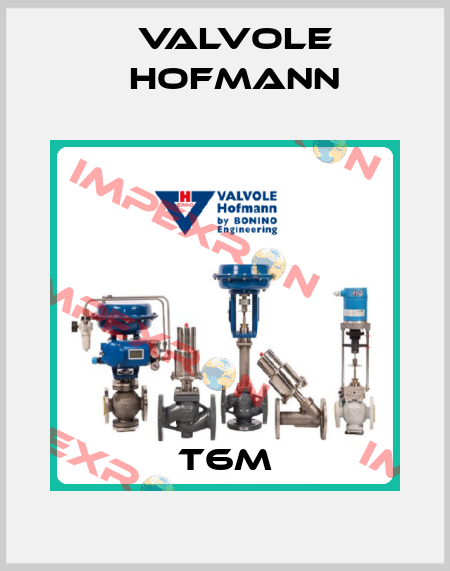 T6M Valvole Hofmann