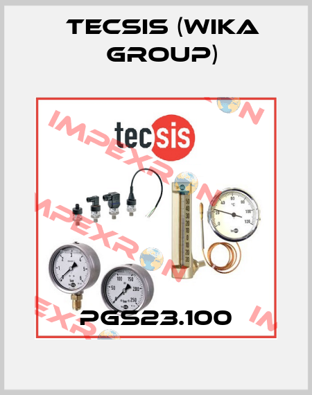 PGS23.100 Tecsis (WIKA Group)