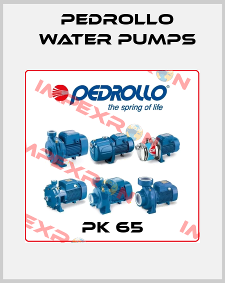 PK 65 Pedrollo Water Pumps