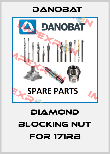 Diamond Blocking Nut for 171RB DANOBAT