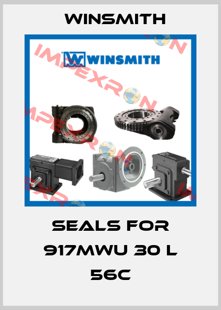 Seals for 917MWU 30 L 56C Winsmith