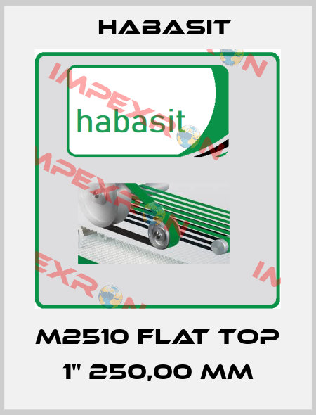 M2510 Flat Top 1" 250,00 mm Habasit