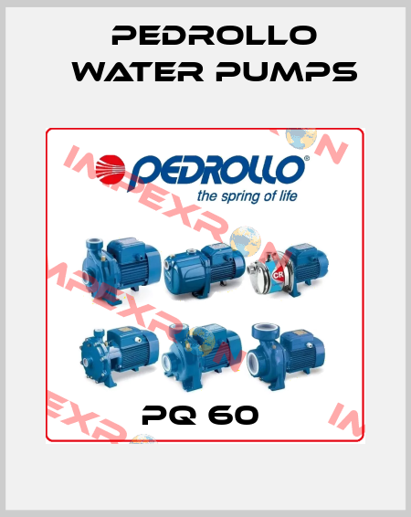 PQ 60  Pedrollo Water Pumps