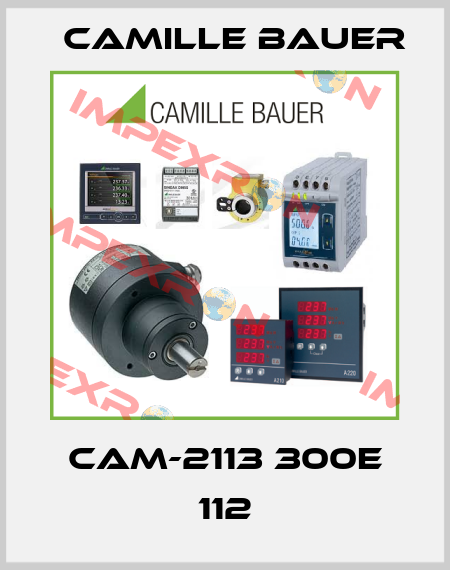 CAM-2113 300E 112 Camille Bauer