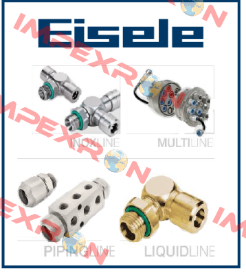 604-0202 Eisele