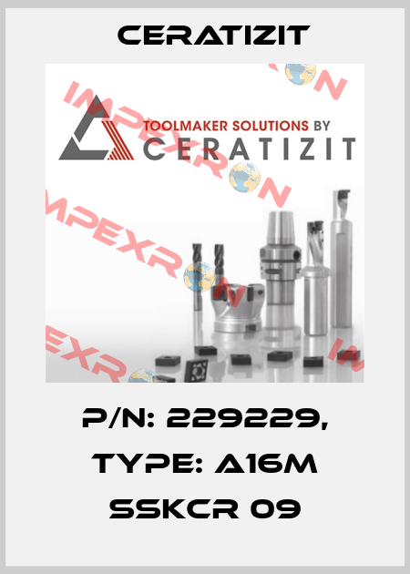 P/N: 229229, Type: A16M SSKCR 09 Ceratizit
