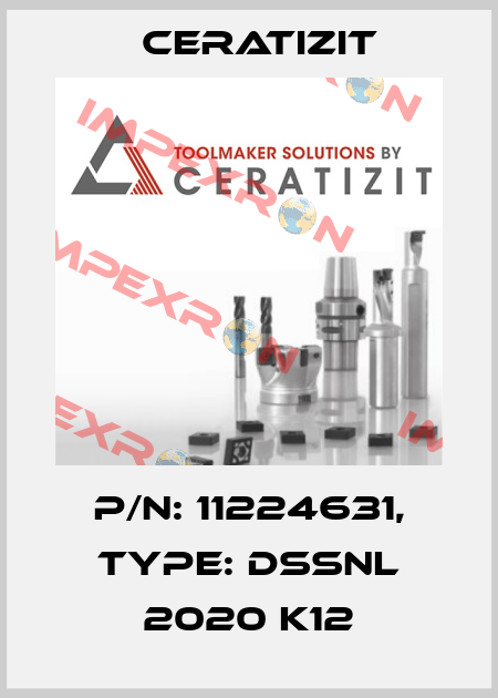 P/N: 11224631, Type: DSSNL 2020 K12 Ceratizit