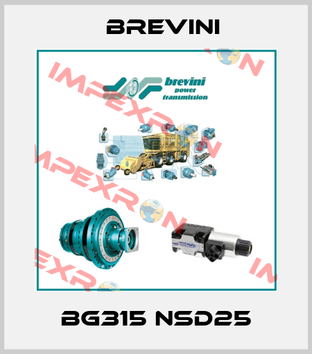 BG315 NSD25 Brevini