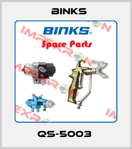 QS-5003  Binks