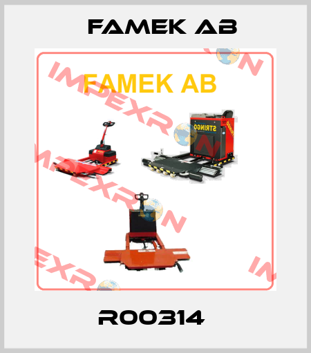 R00314  Famek Ab