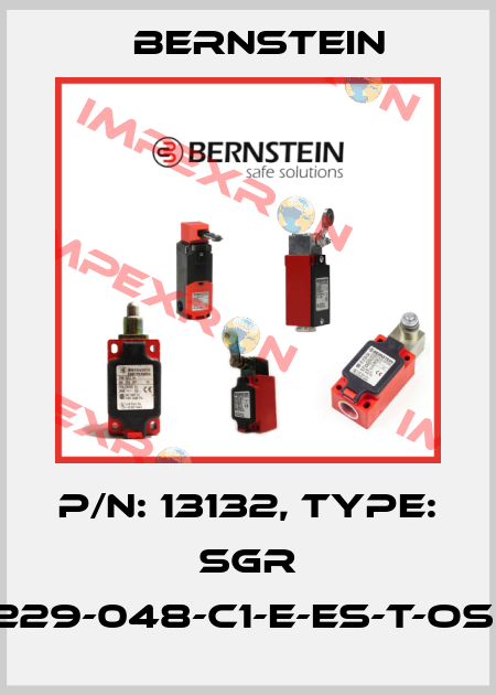 P/N: 13132, Type: SGR 15-229-048-C1-E-ES-T-OSE-5 Bernstein