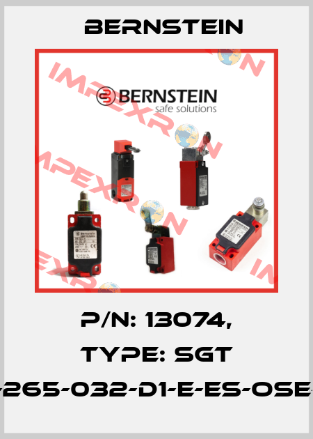 P/N: 13074, Type: SGT 15-265-032-D1-E-ES-OSE-15 Bernstein