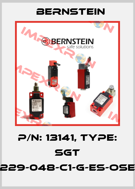 P/N: 13141, Type: SGT 15-229-048-C1-G-ES-OSE-15 Bernstein